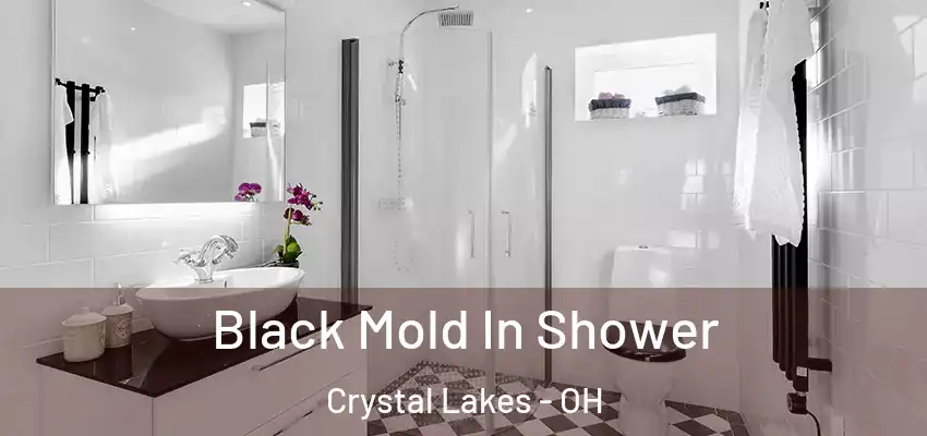  Black Mold In Shower Crystal Lakes - OH