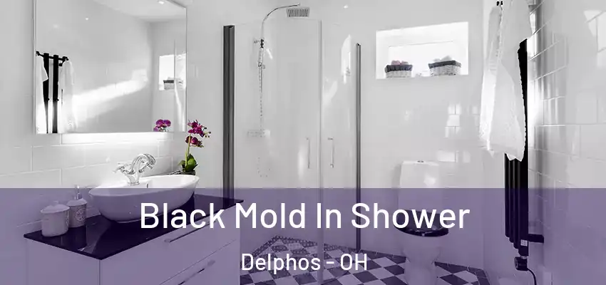  Black Mold In Shower Delphos - OH