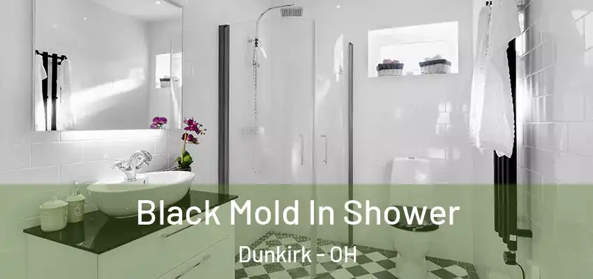  Black Mold In Shower Dunkirk - OH