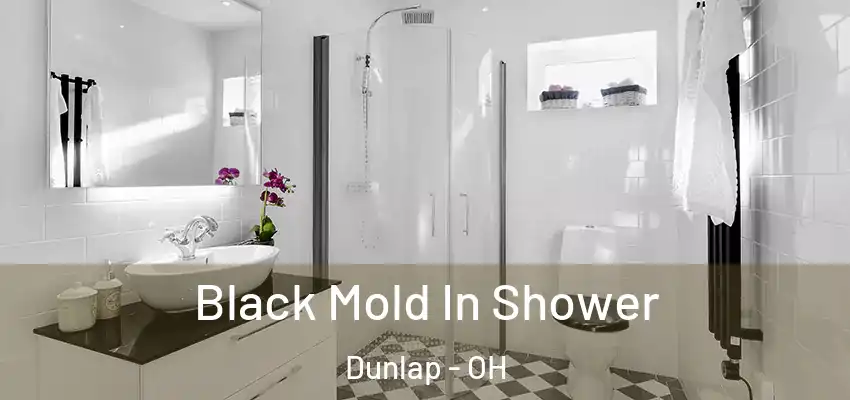 Black Mold In Shower Dunlap - OH