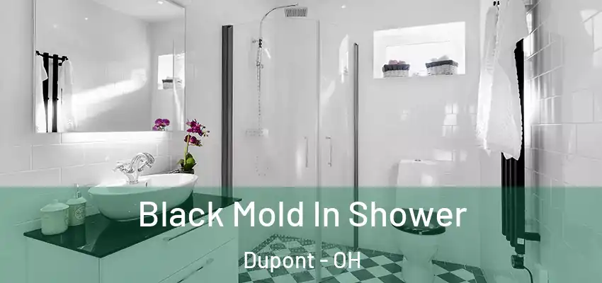  Black Mold In Shower Dupont - OH