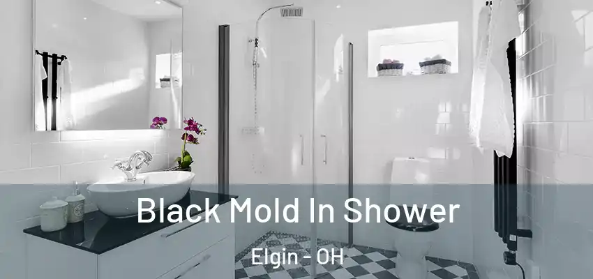 Black Mold In Shower Elgin - OH