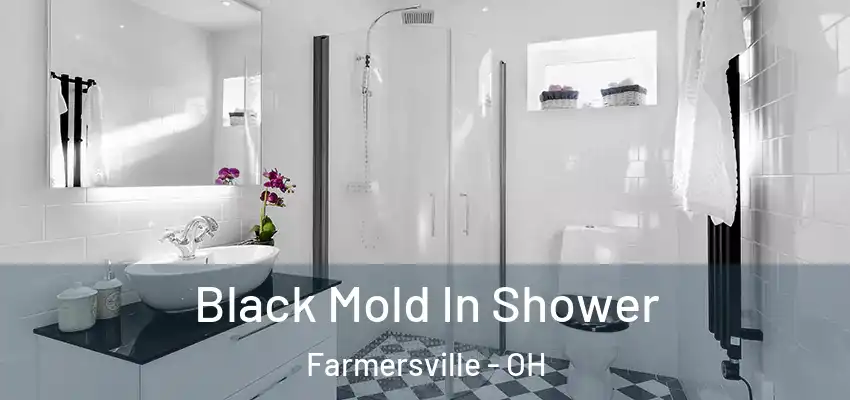  Black Mold In Shower Farmersville - OH
