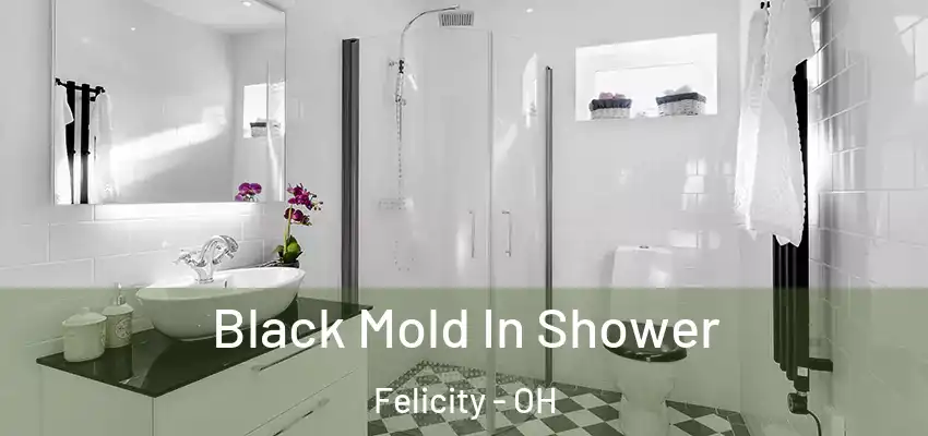  Black Mold In Shower Felicity - OH