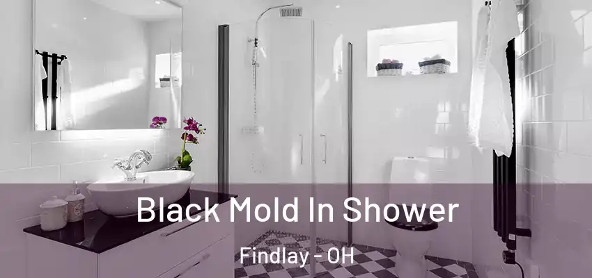  Black Mold In Shower Findlay - OH