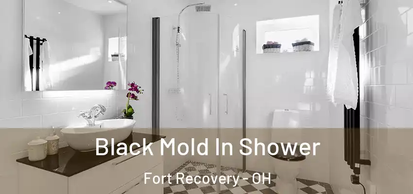  Black Mold In Shower Fort Recovery - OH