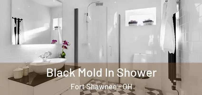  Black Mold In Shower Fort Shawnee - OH