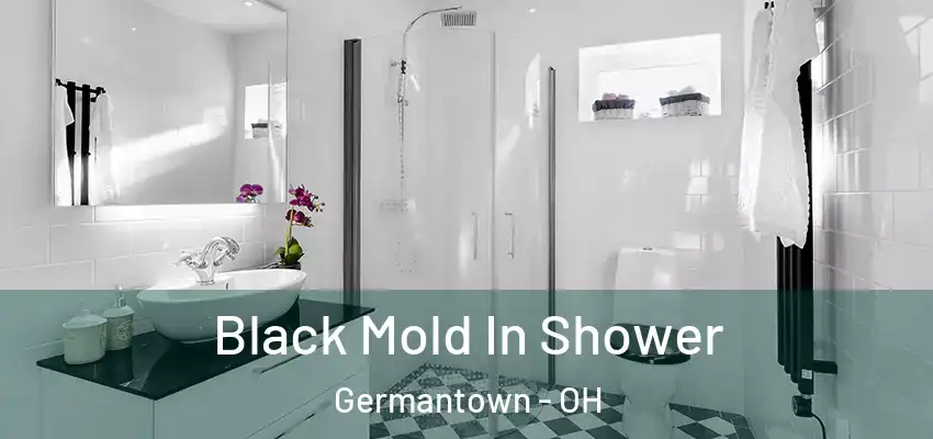  Black Mold In Shower Germantown - OH