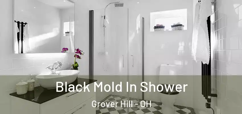  Black Mold In Shower Grover Hill - OH