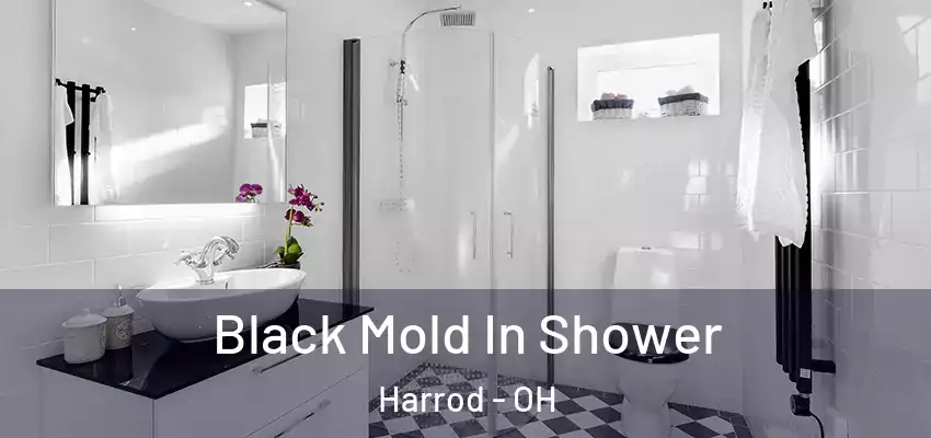  Black Mold In Shower Harrod - OH
