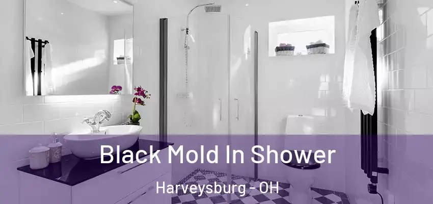  Black Mold In Shower Harveysburg - OH