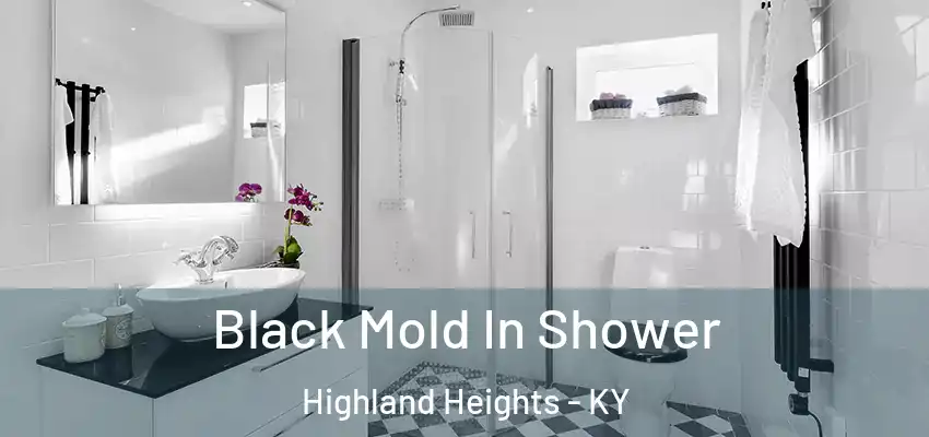  Black Mold In Shower Highland Heights - KY
