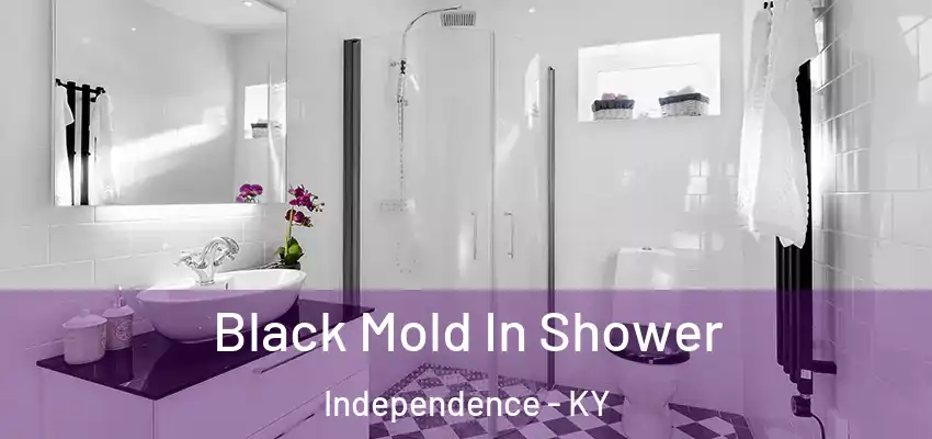  Black Mold In Shower Independence - KY