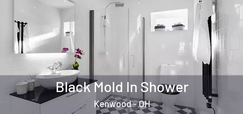  Black Mold In Shower Kenwood - OH
