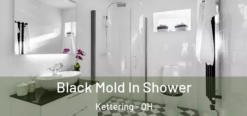  Black Mold In Shower Kettering - OH