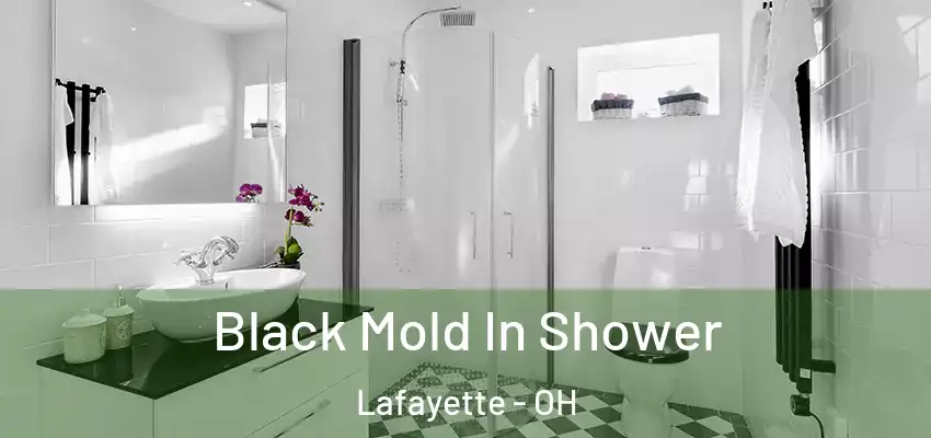  Black Mold In Shower Lafayette - OH