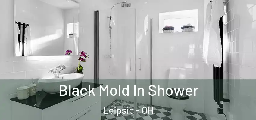  Black Mold In Shower Leipsic - OH