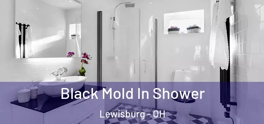  Black Mold In Shower Lewisburg - OH