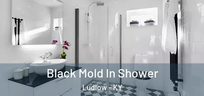  Black Mold In Shower Ludlow - KY