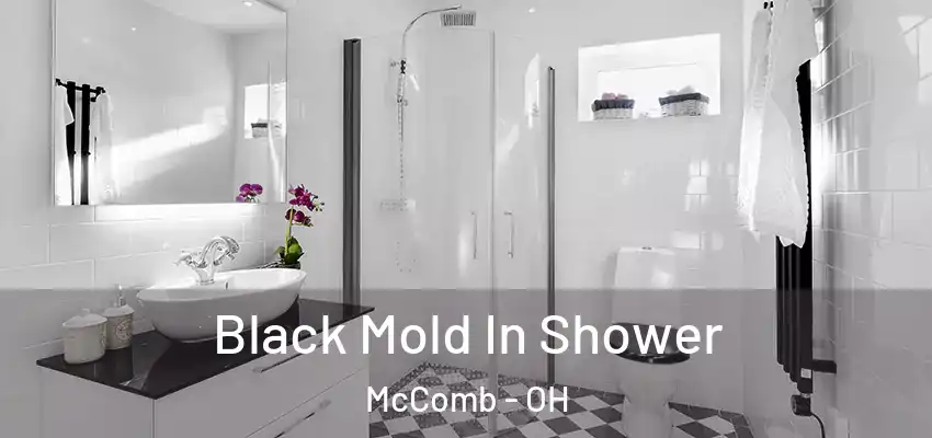  Black Mold In Shower McComb - OH