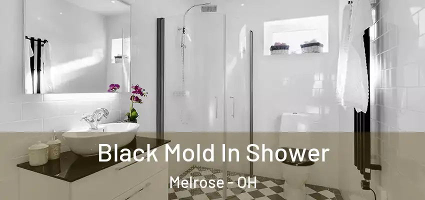  Black Mold In Shower Melrose - OH