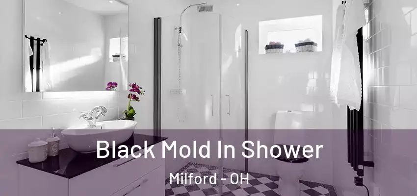  Black Mold In Shower Milford - OH