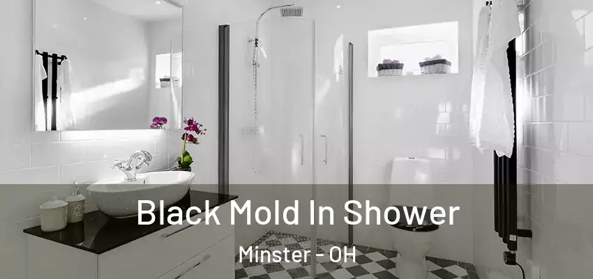 Black Mold In Shower Minster - OH
