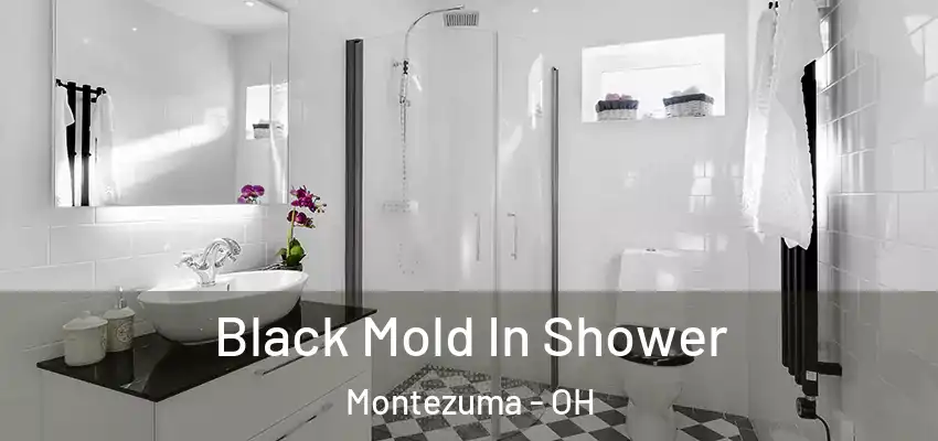  Black Mold In Shower Montezuma - OH