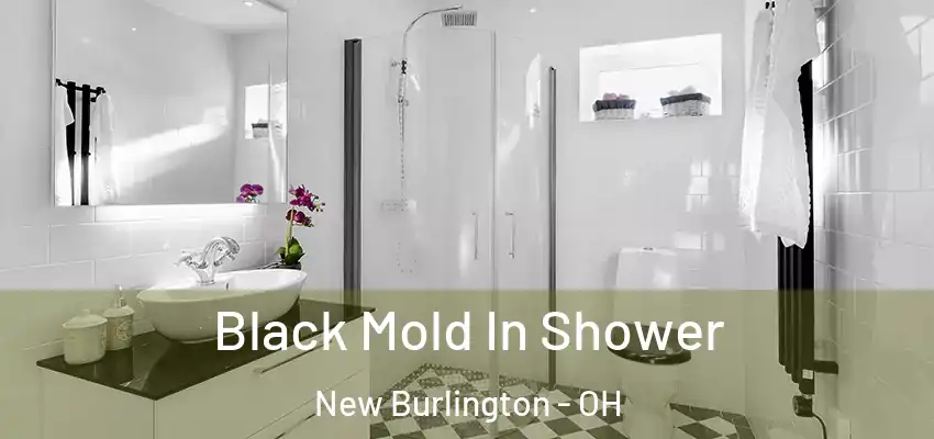  Black Mold In Shower New Burlington - OH