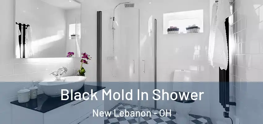  Black Mold In Shower New Lebanon - OH