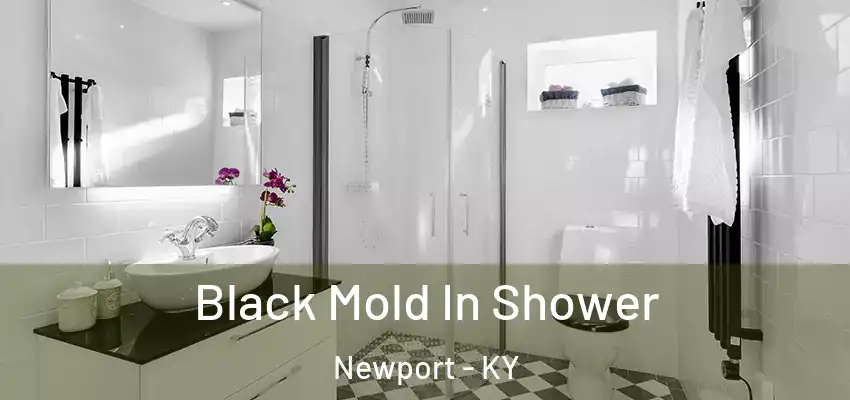  Black Mold In Shower Newport - KY