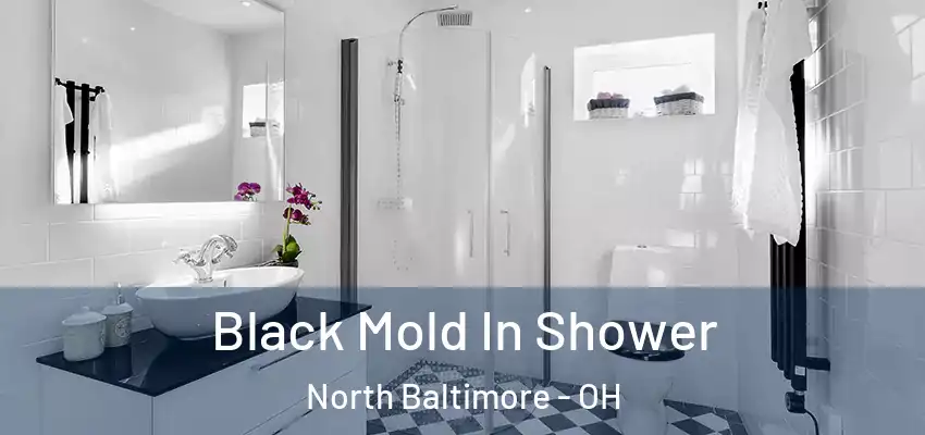  Black Mold In Shower North Baltimore - OH