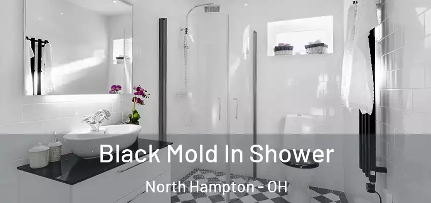  Black Mold In Shower North Hampton - OH
