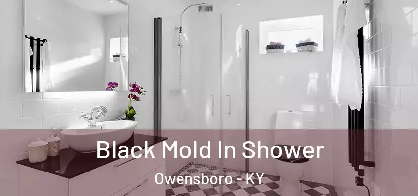  Black Mold In Shower Owensboro - KY