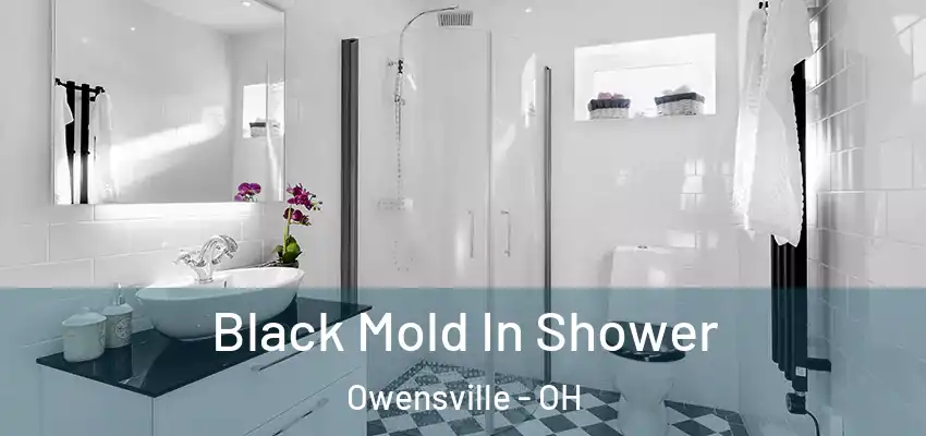  Black Mold In Shower Owensville - OH