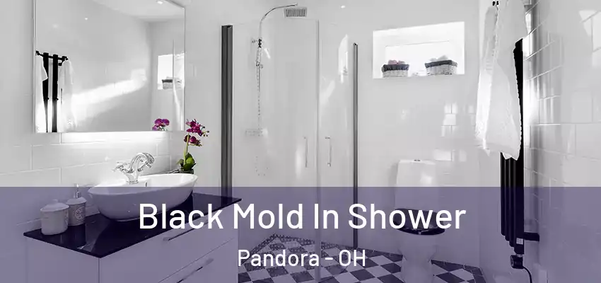  Black Mold In Shower Pandora - OH