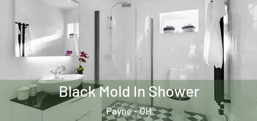  Black Mold In Shower Payne - OH