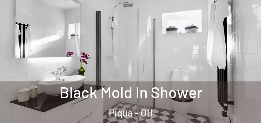  Black Mold In Shower Piqua - OH