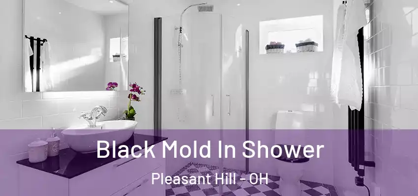  Black Mold In Shower Pleasant Hill - OH