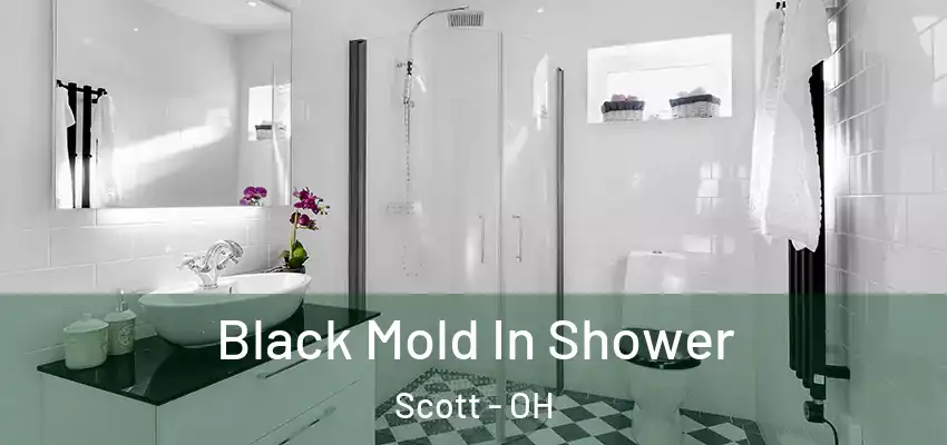 Black Mold In Shower Scott - OH