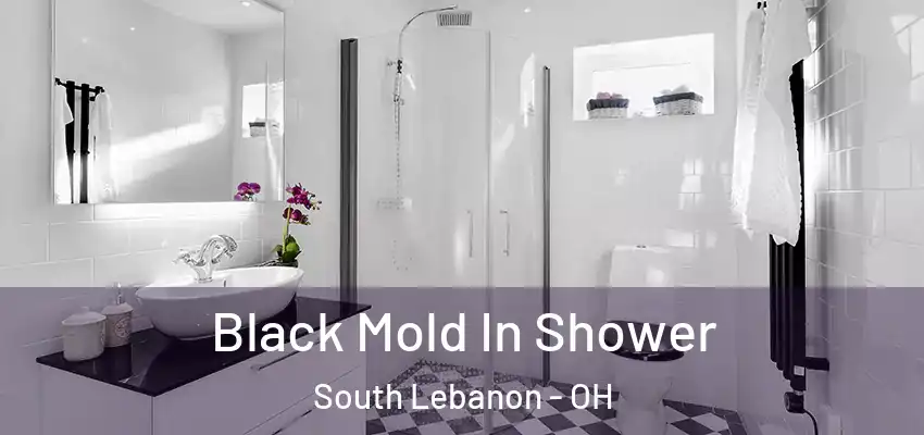  Black Mold In Shower South Lebanon - OH