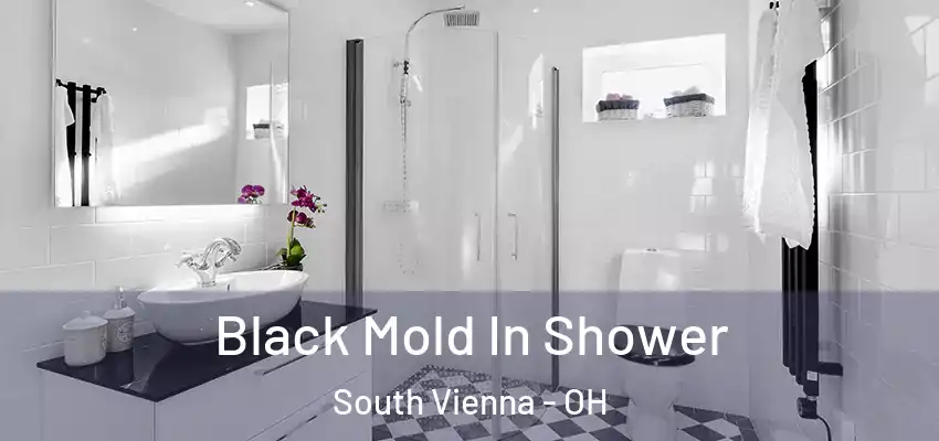  Black Mold In Shower South Vienna - OH