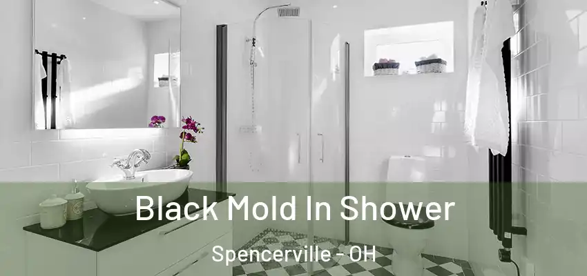  Black Mold In Shower Spencerville - OH