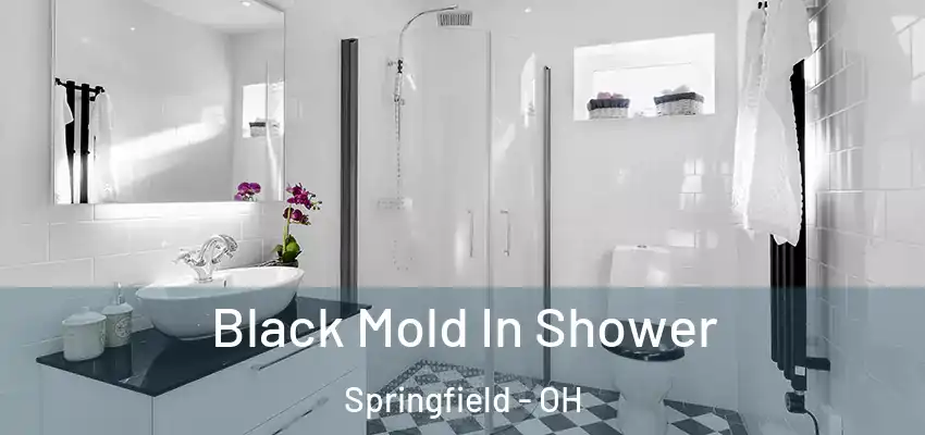  Black Mold In Shower Springfield - OH