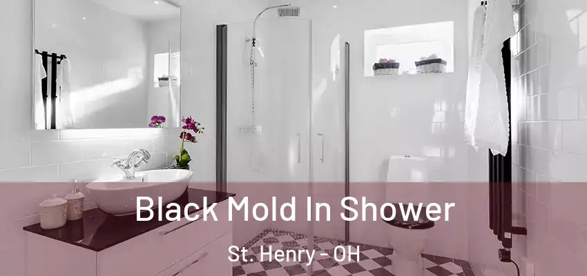 Black Mold In Shower St. Henry - OH