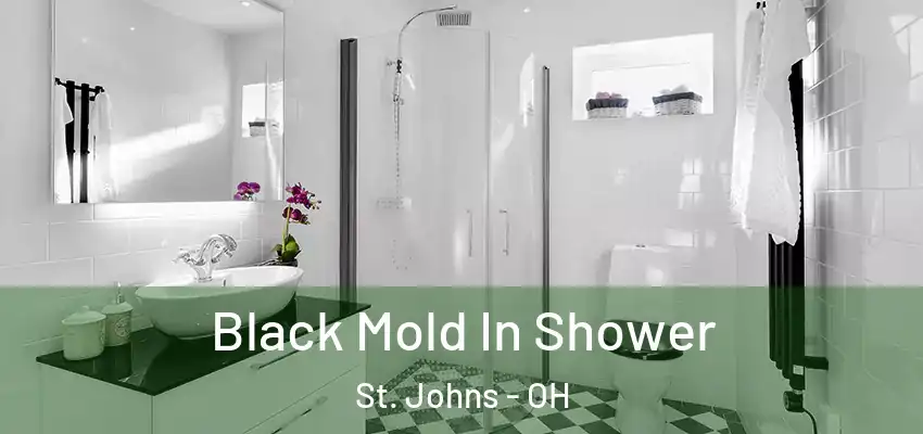  Black Mold In Shower St. Johns - OH
