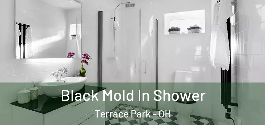  Black Mold In Shower Terrace Park - OH