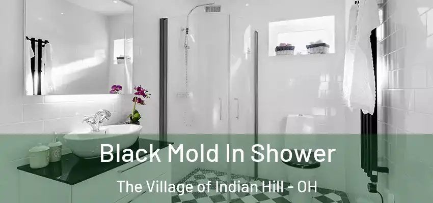  Black Mold In Shower The Village of Indian Hill - OH