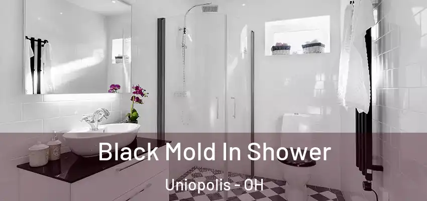  Black Mold In Shower Uniopolis - OH