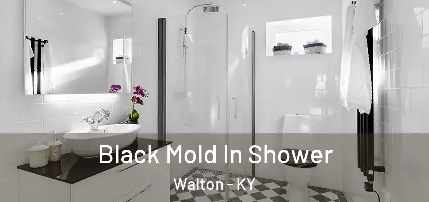  Black Mold In Shower Walton - KY